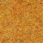 Pugi fenice 102 Swatch image for Pugi fenice 102
